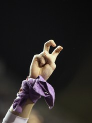 Go Horned Frogs