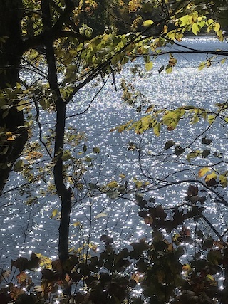 sunshine on Raccoon Lake